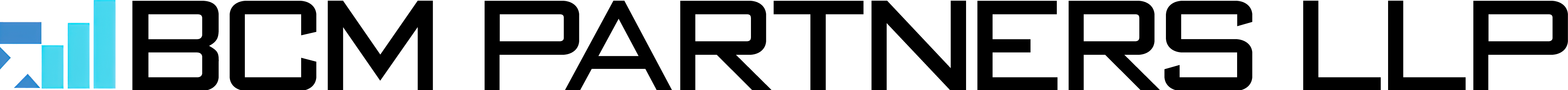 BCM Partners